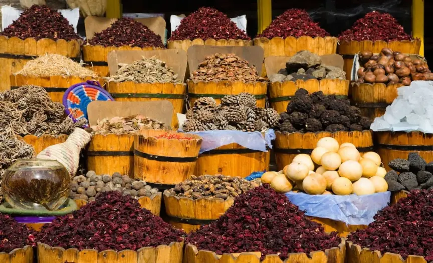 Aswan Felucca Tour & Walk Tour in Aswan Market. — photo 9