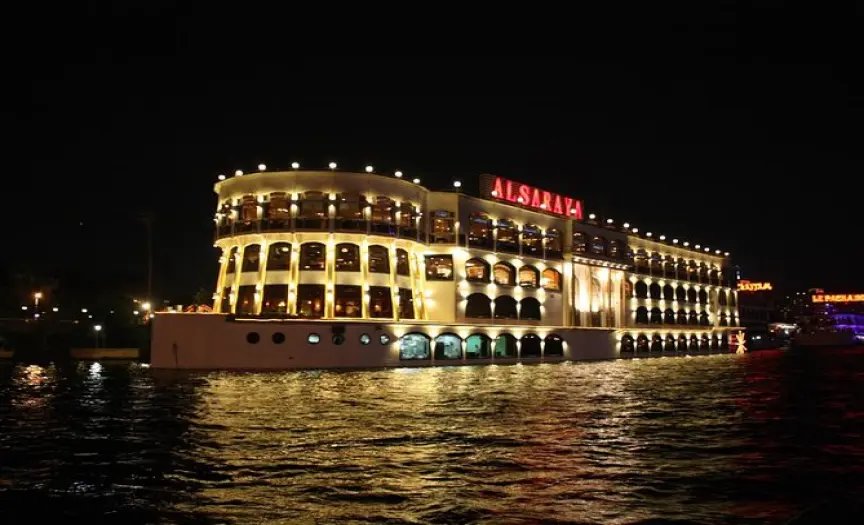 Night Nile Cruise in Cairo. — photo 13