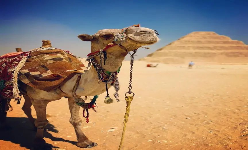 Private Tour for The ATV, Camel Adventure at Giza Pyramids Desert & Dinner. — photo 14