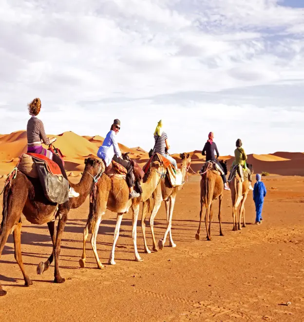 Camel Ride in Giza