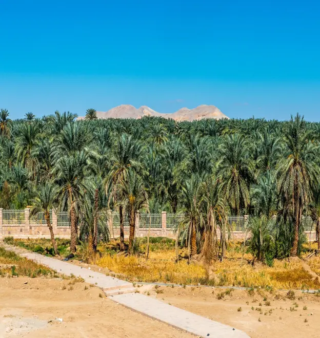 El Kharga Oasis